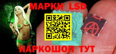 прущие грибы Братск