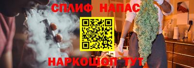 прущие грибы Владикавказ