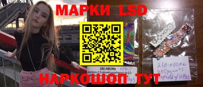 индика Брянск