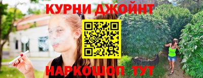 прущие грибы Владикавказ