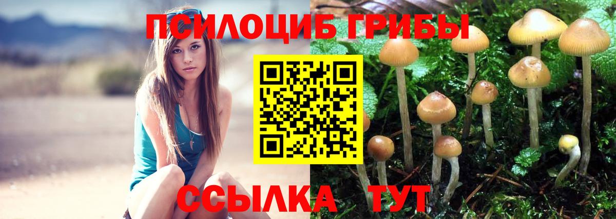 Урай  Галлюциногенные грибы прущие грибы  Вход с VPN 